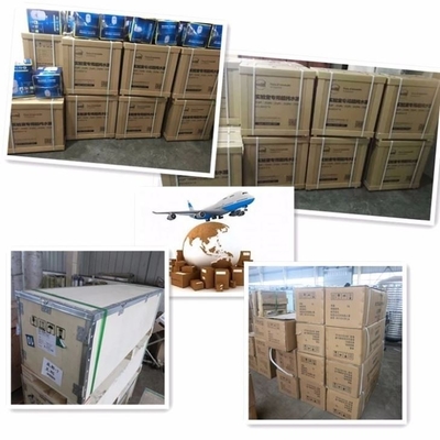 Macchine per il sistema di acqua ultrapurificata 10L/H 20L/H 40L/H 60L/H